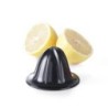 Citrus juicer electric