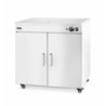 Plate warmer double