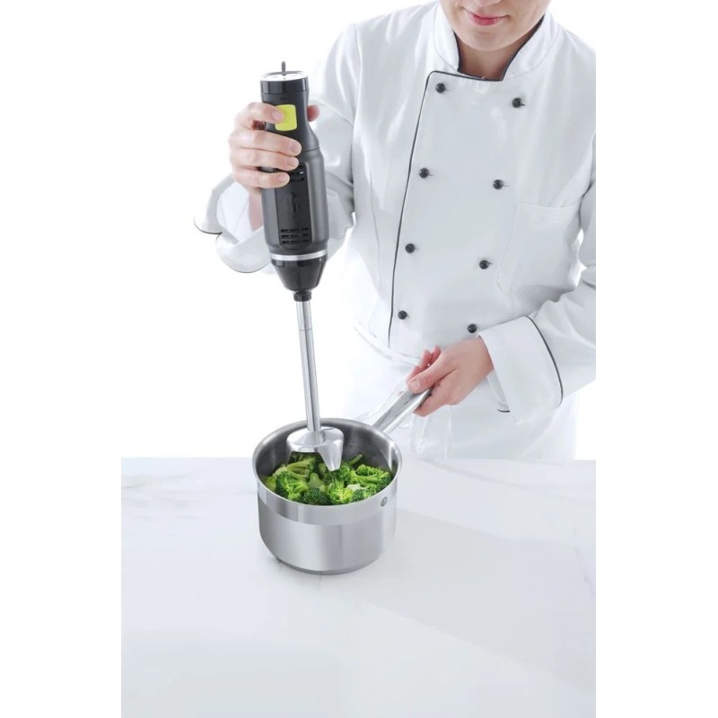Stabmixer   BLEND