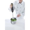 Stabmixer   BLEND