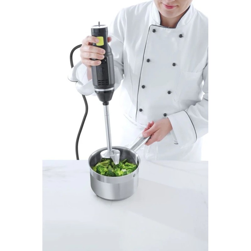 Stabmixer   BLEND