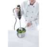 Stabmixer   BLEND