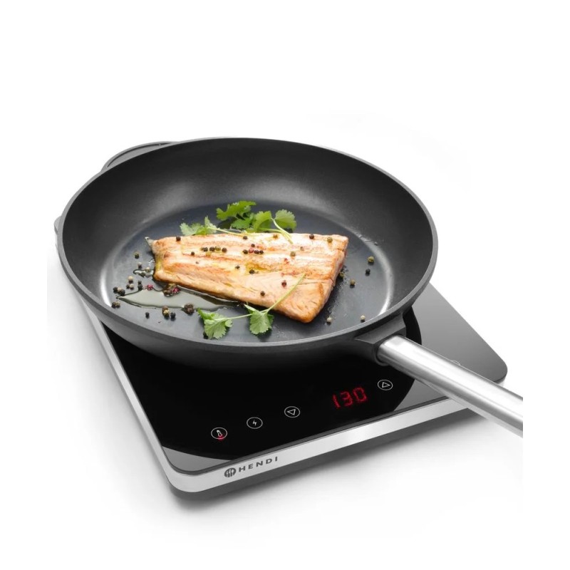 Induction cooker model 2000