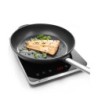 Induction cooker model 2000