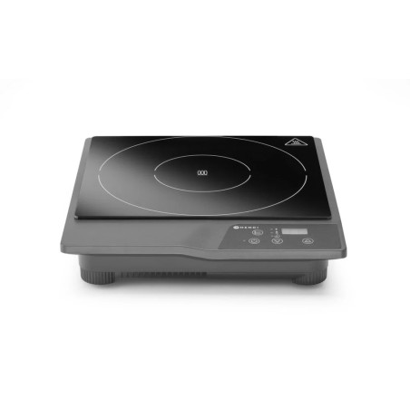 Induction cooker model 1800