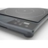 Induction cooker model 1800