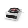 Induction cooker model 5000 D