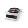 Induction cooker model 5000 D