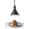 Rise and fall heat lamp conical