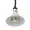 Rise and fall heat lamp conical