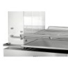 Hi-Light-Salamander 600-2Z