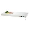 Warming plate WP450