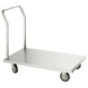 Platform trolley TP100