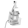 Vegetable cutter GMS601