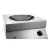 Wok induction 50/293