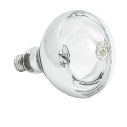 Infrared lamp IWL250D-WS