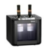 Wine cooler 2FL-100