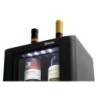 Wine cooler 2FL-100
