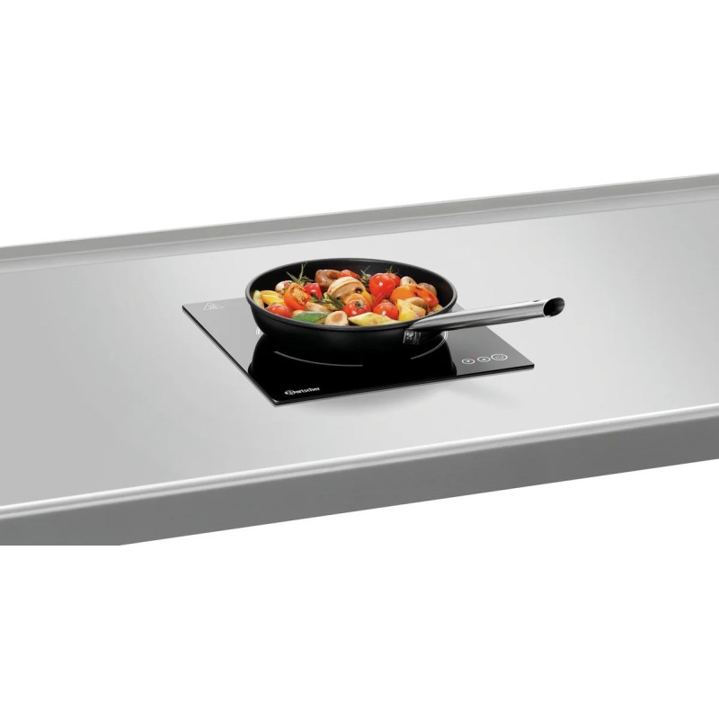 Built-in induction cooker 201TC