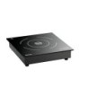 Built-in induction cooker 201TC