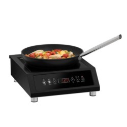 Induction Cooker IK 35-1 TC SW